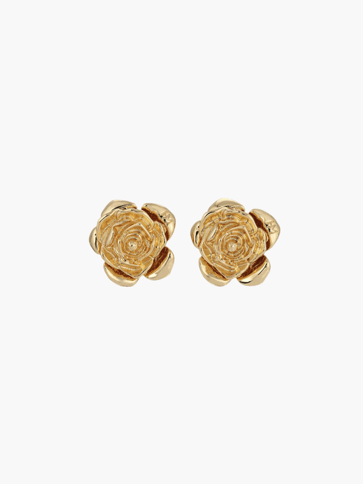 Solene – Boucles d&